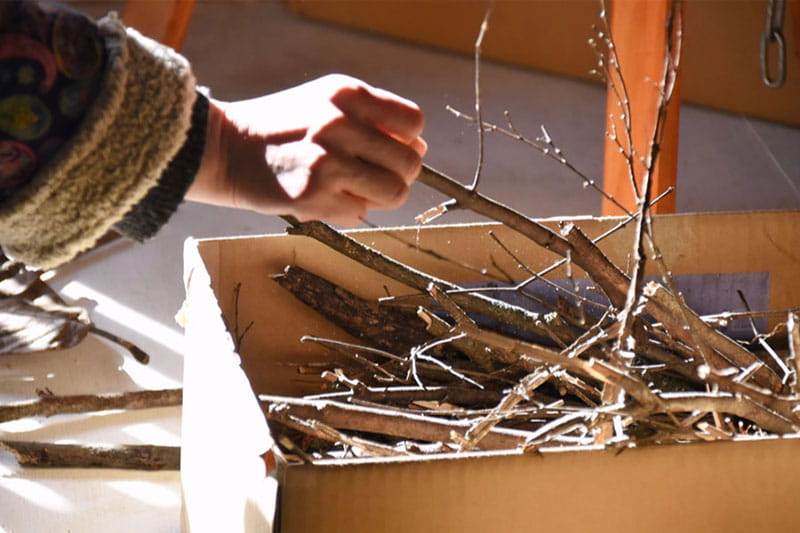 オープンアトリエ -めでて ふくらんで はな- 